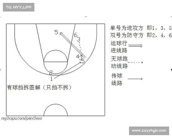 深入剖析NBA挡拆配合战术发展与实际应用的多维探讨